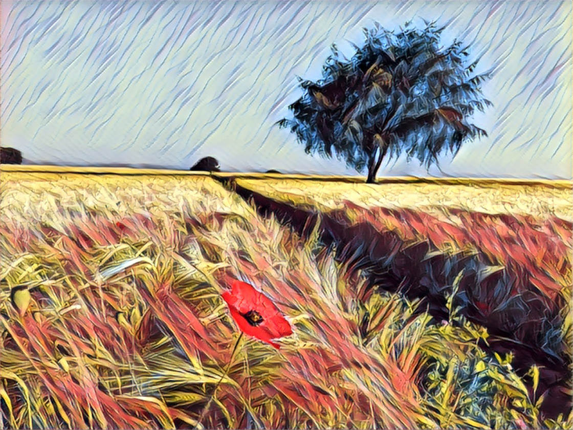 Apps That Turn Photos Into Drawings no script