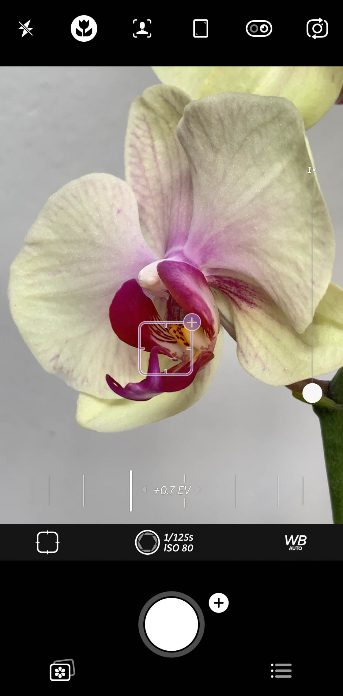 Best Camera App For iPhone no script