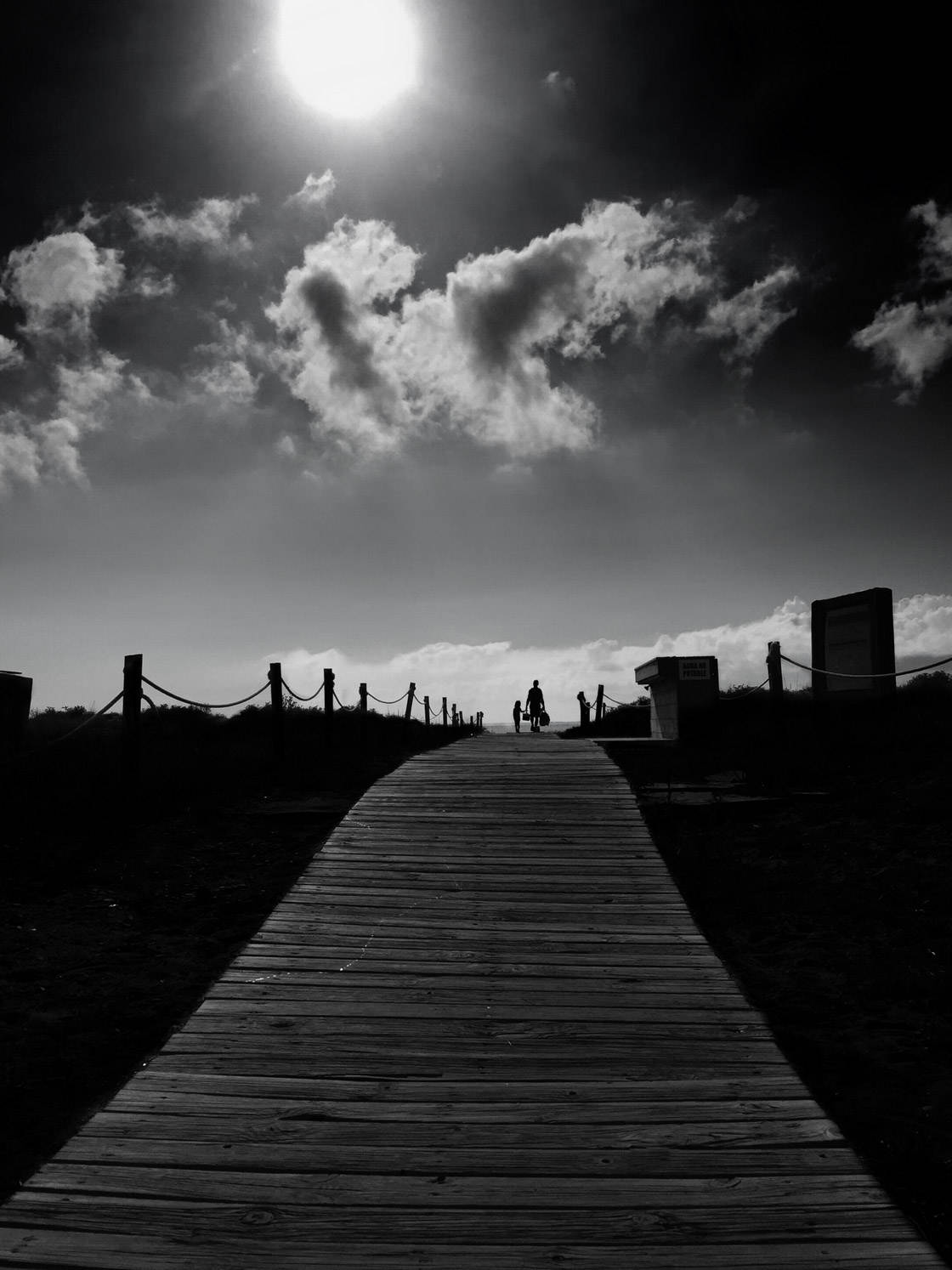 Black and white photography 6 no script