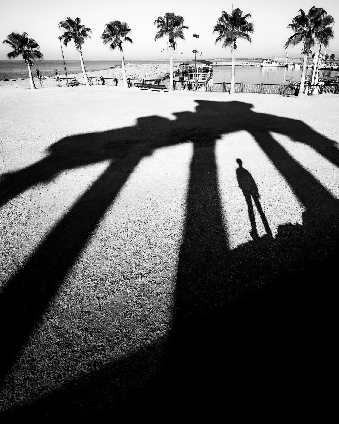 black and white street photography with iPhone no script