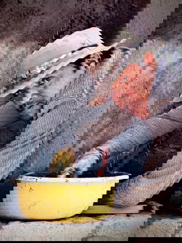 collage-1-3