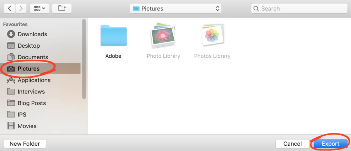 download photos from icloud no script