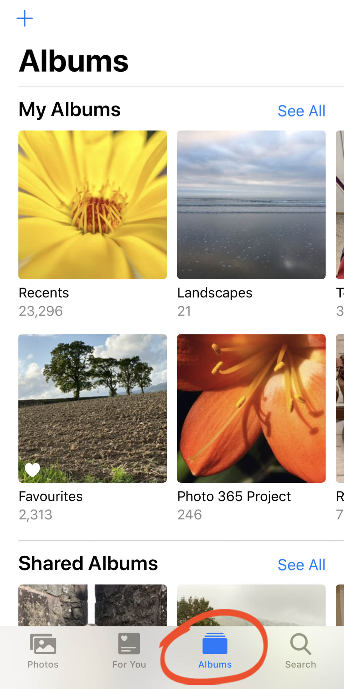 download photos from icloud no script
