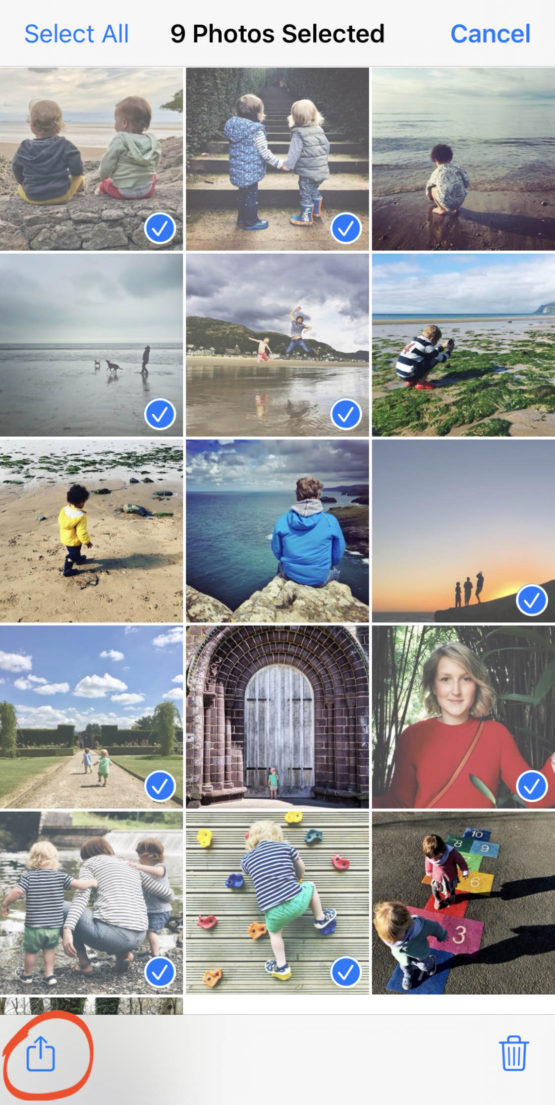 download photos from icloud no script