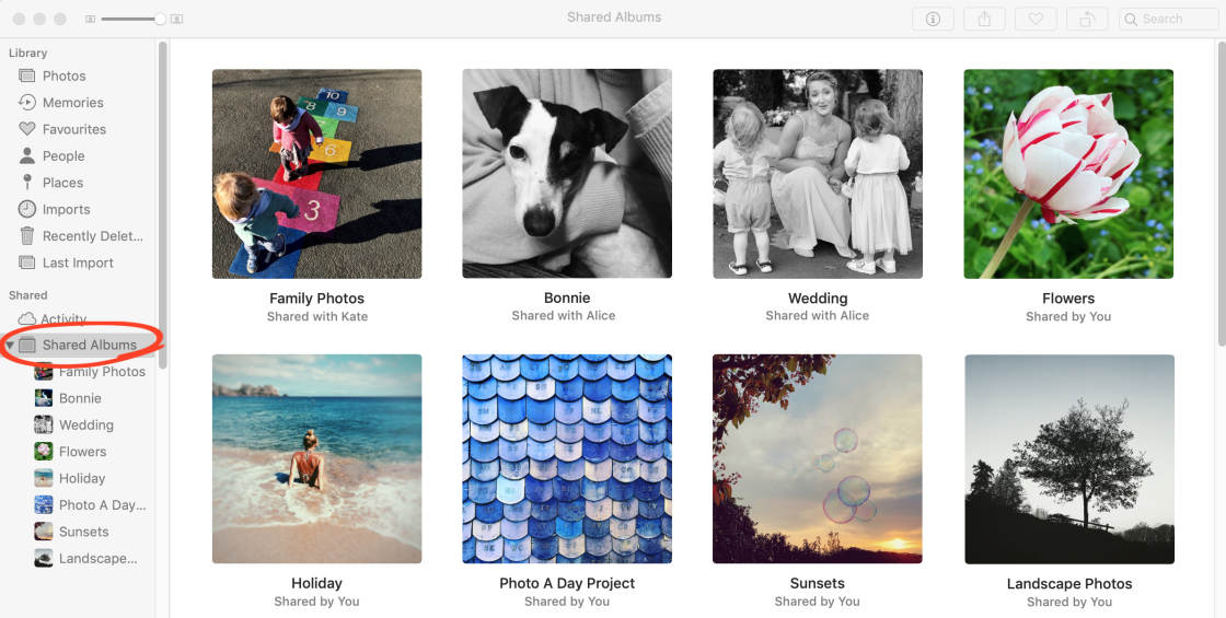 download photos from icloud no script