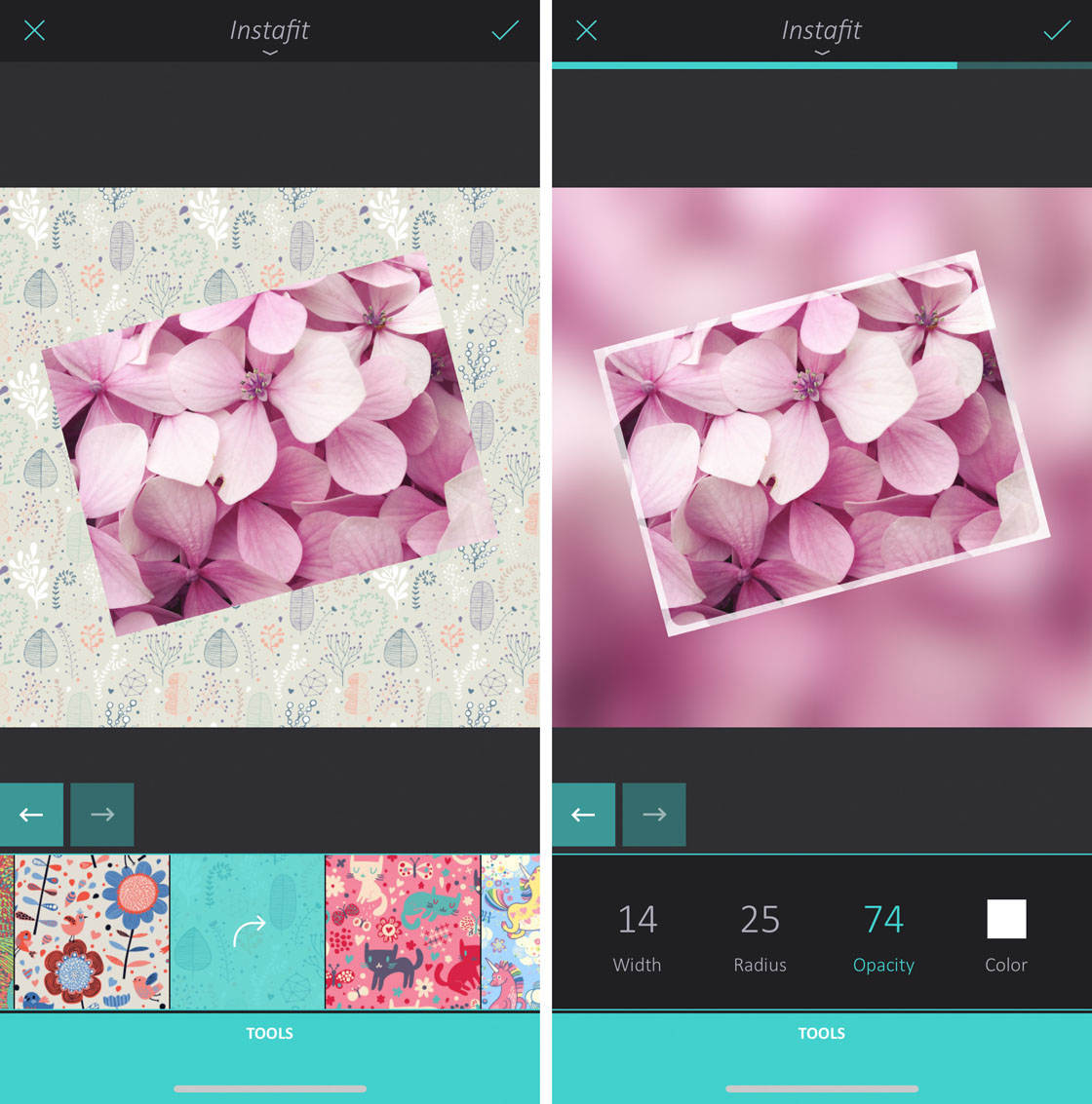 How to use enlight app on iphone 109 no script