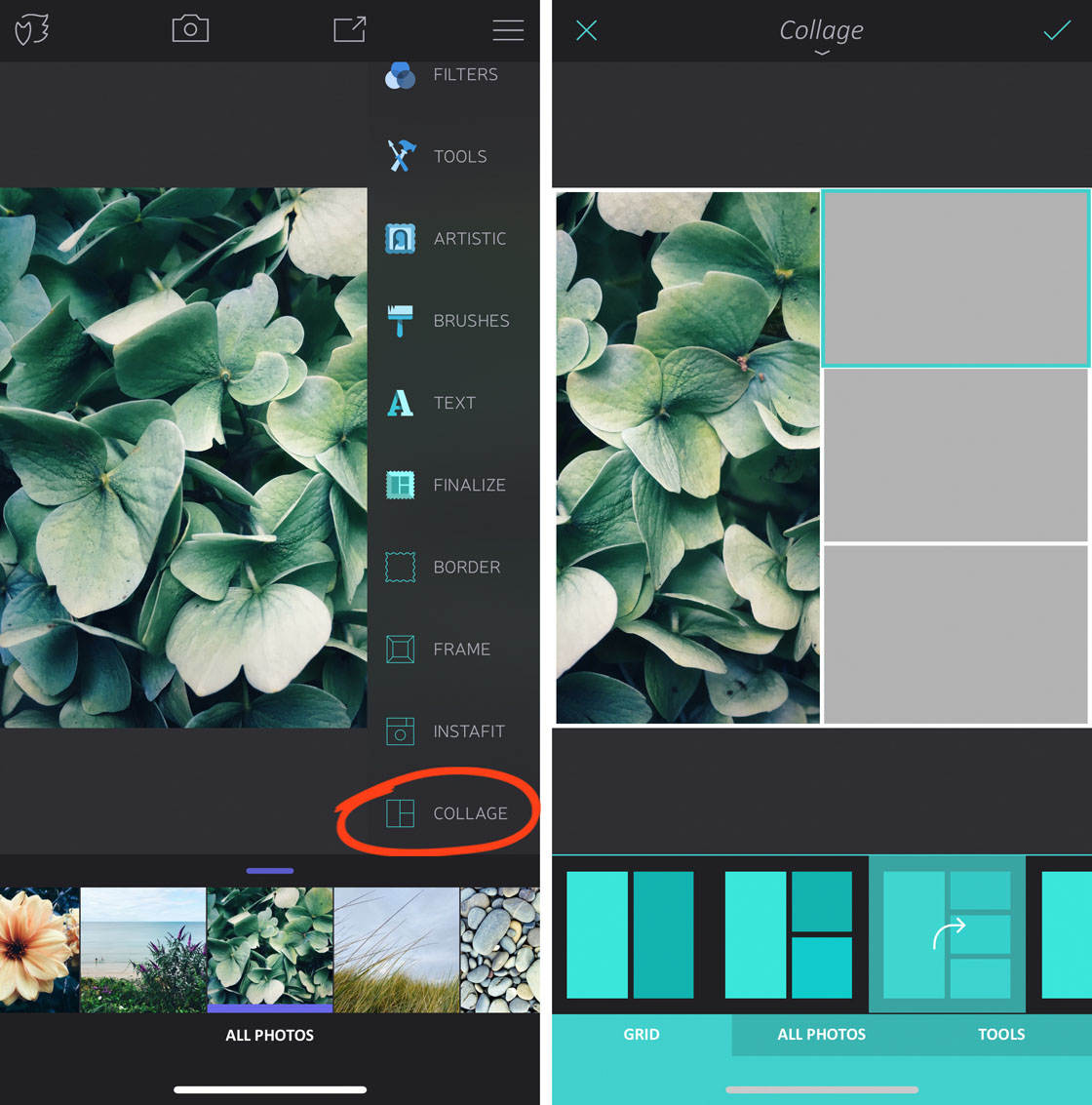 How to use enlight app on iphone 110 no script