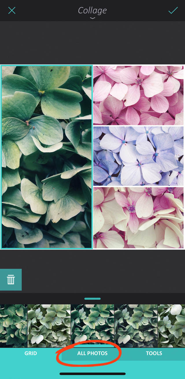 How to use enlight app on iphone 115 no script