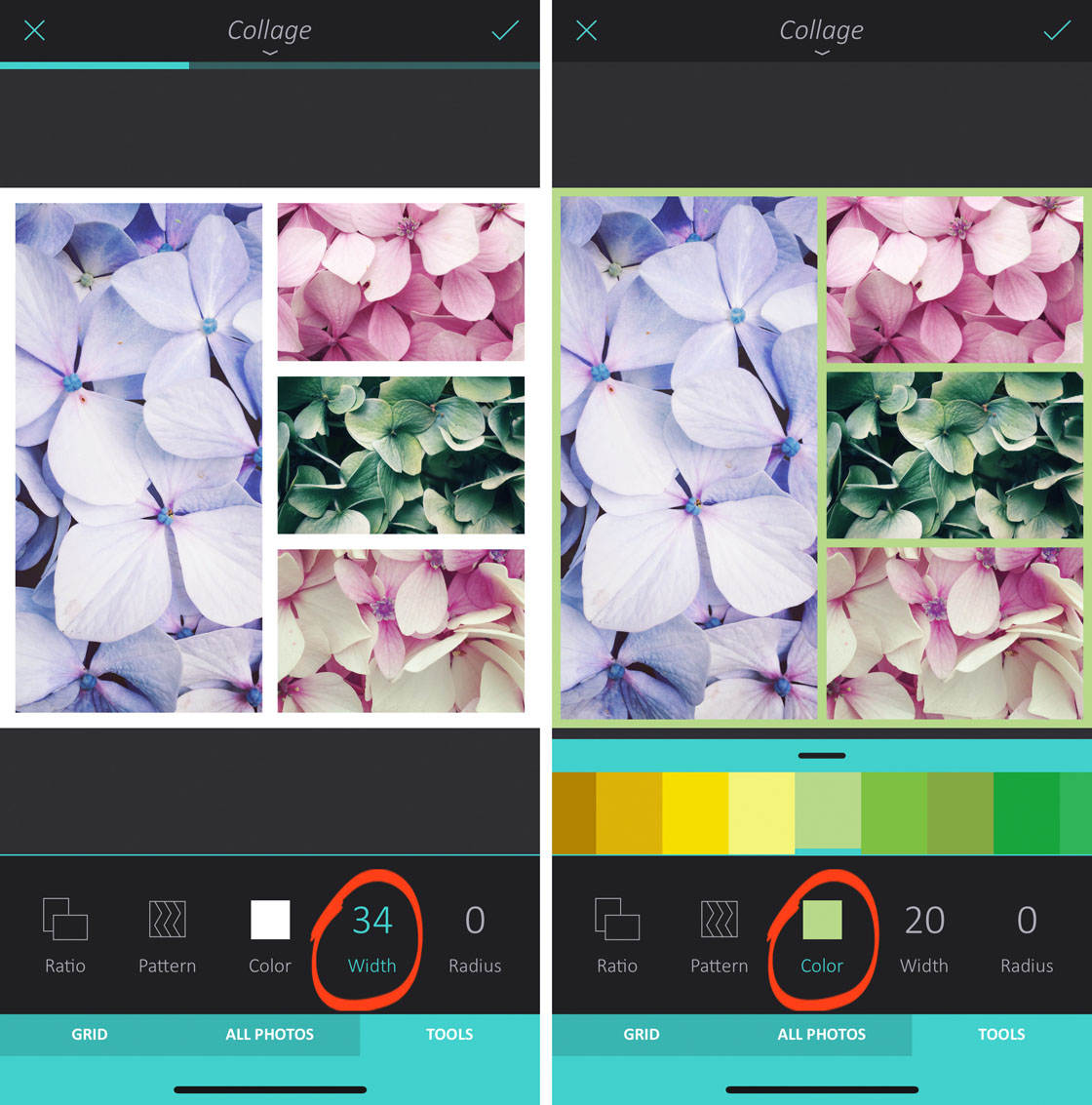 How to use enlight app on iphone 111 no script