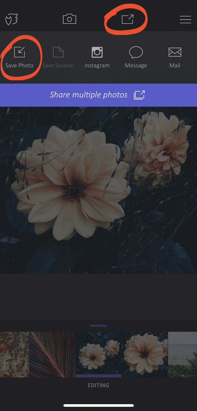 How to use enlight app on iphone 83 no script