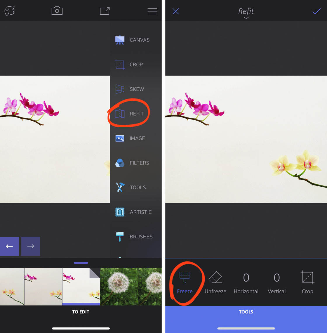 How to use enlight app on iphone 13 no script