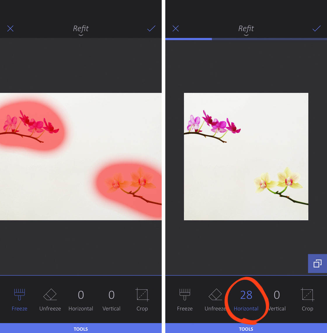 How to use enlight app on iphone 14 no script