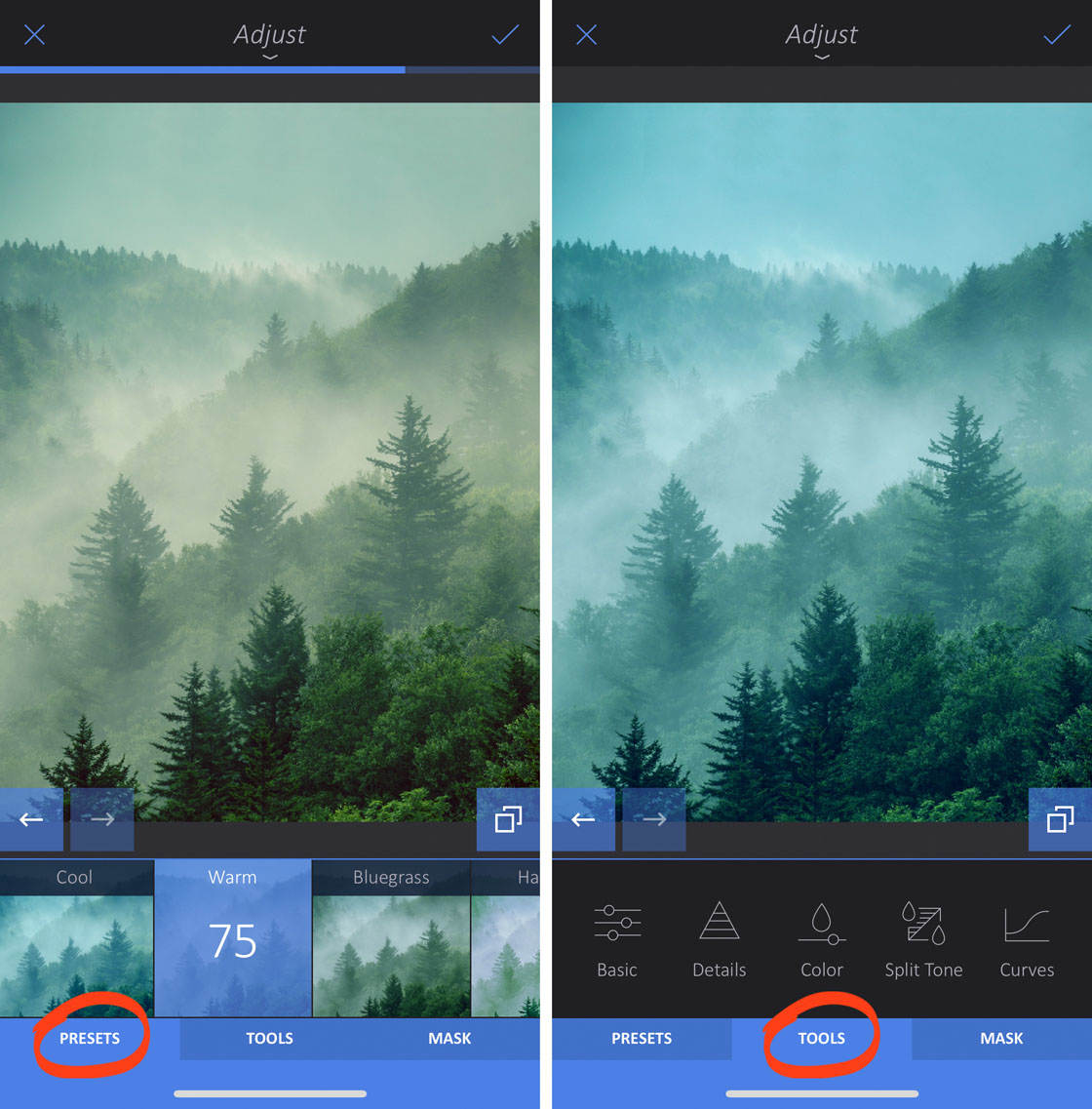 How to use enlight app on iphone 22 no script