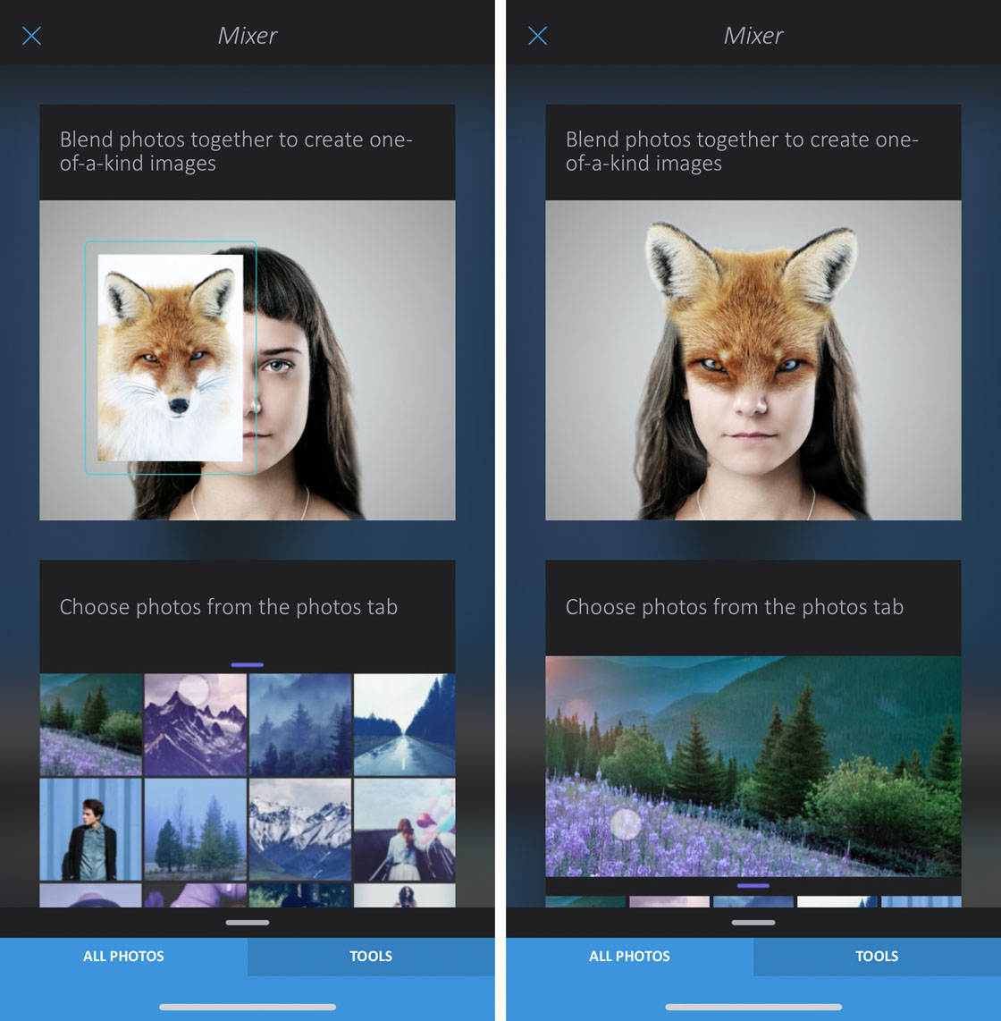 How to use enlight app on iphone 58 no script