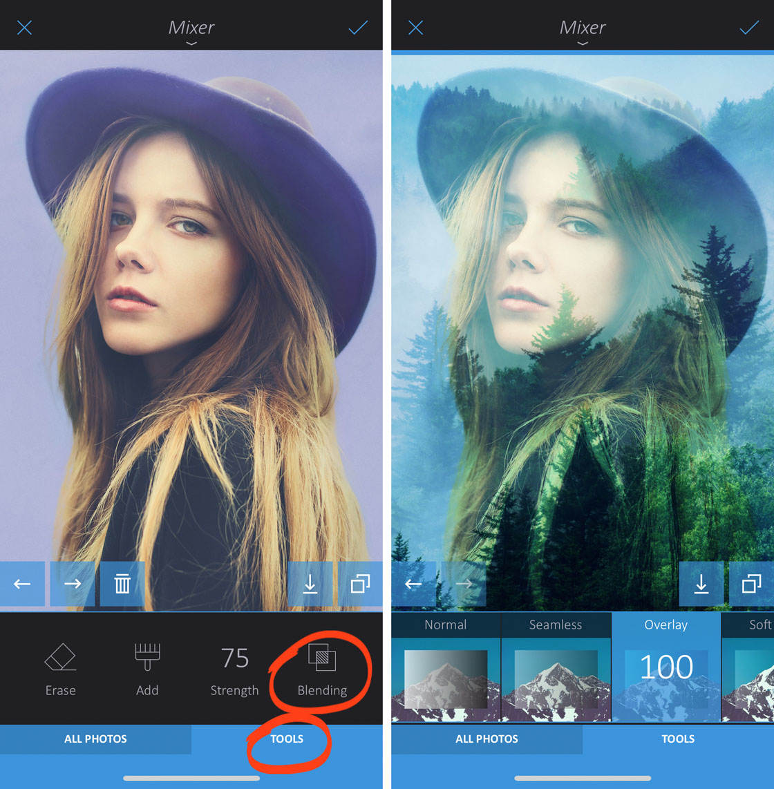 How to use enlight app on iphone 60 no script