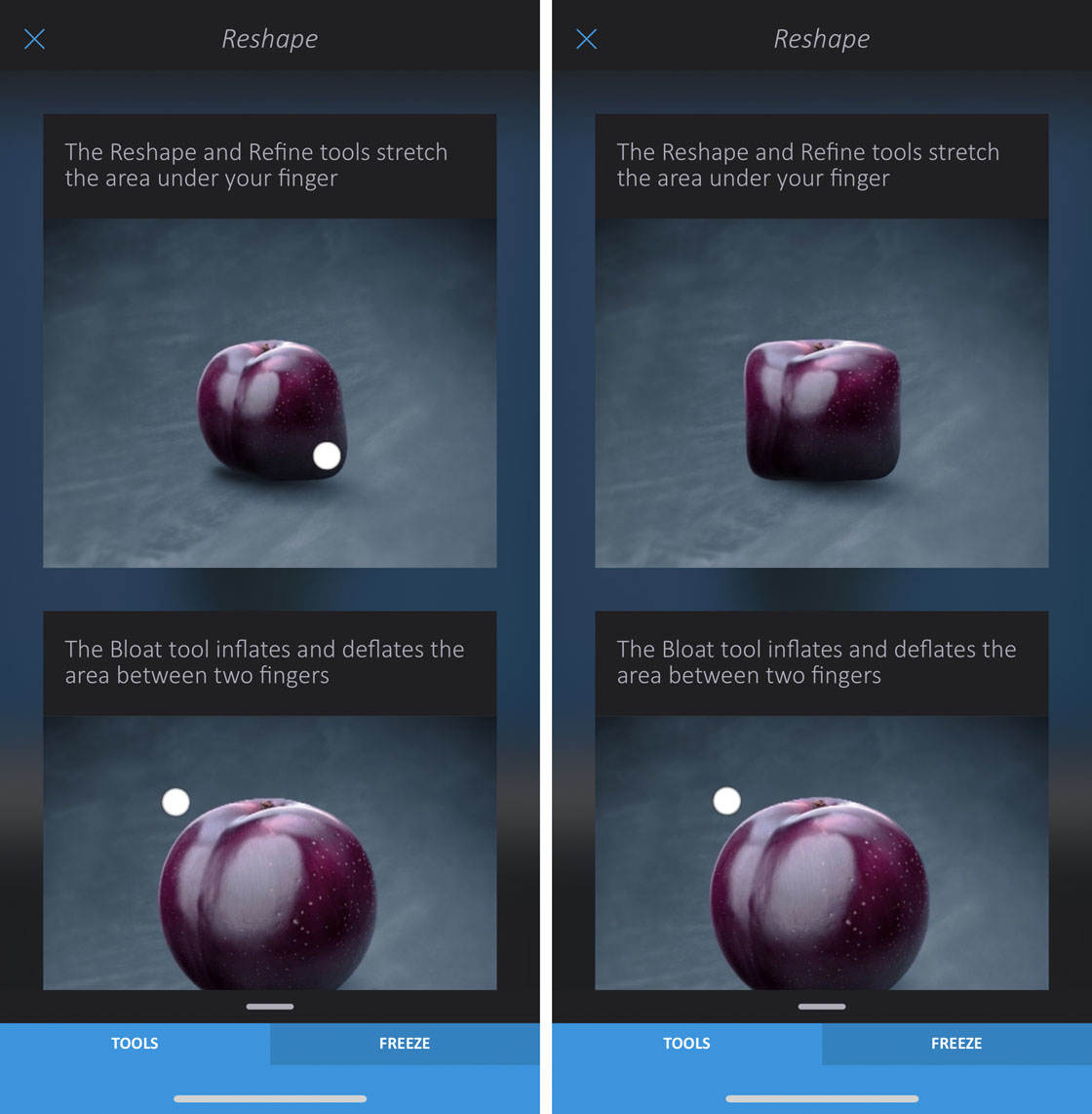 How to use enlight app on iphone 63 no script