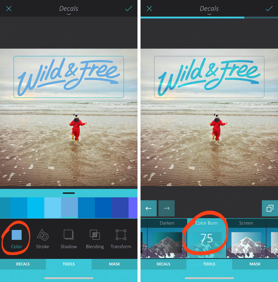 How to use enlight app on iphone 102 no script