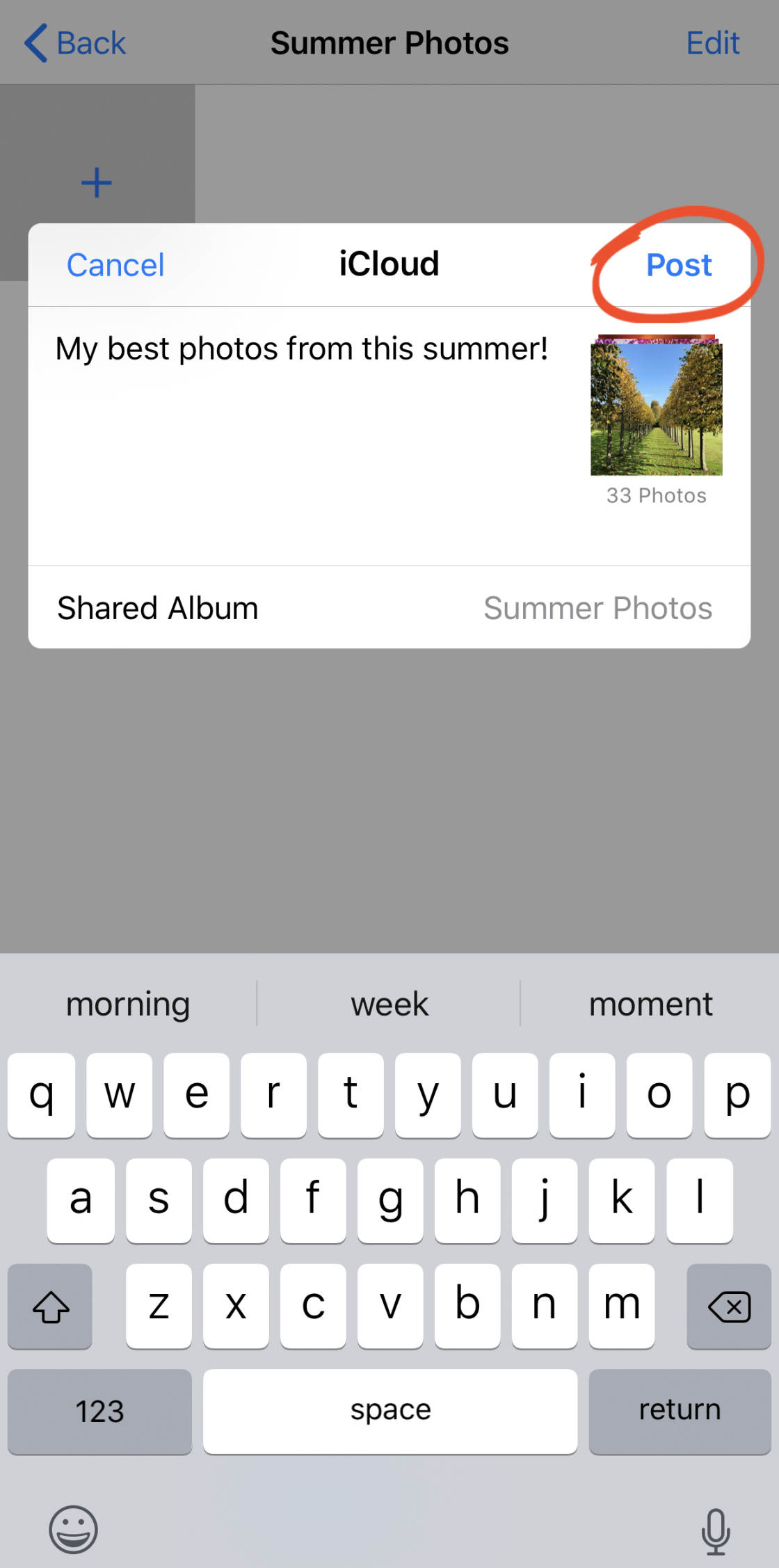 iCloud Photo Sharing no script
