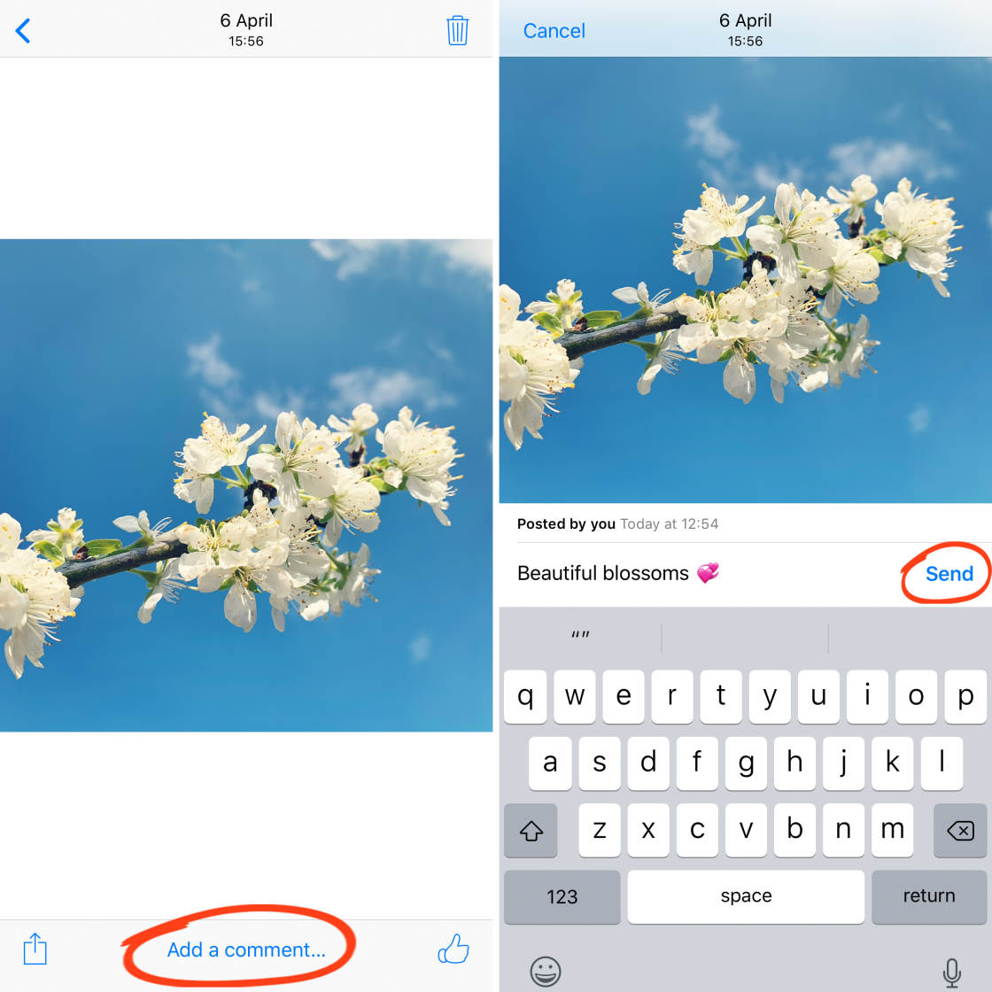 iCloud Photo Sharing no script