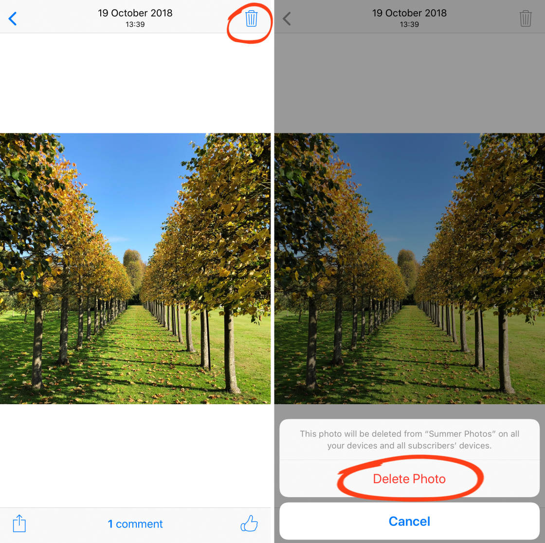 iCloud Photo Sharing no script