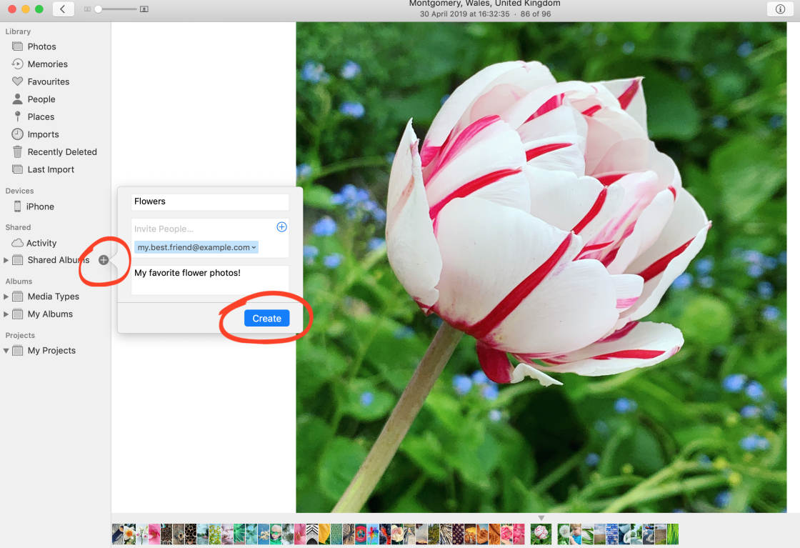 iCloud Photo Sharing no script