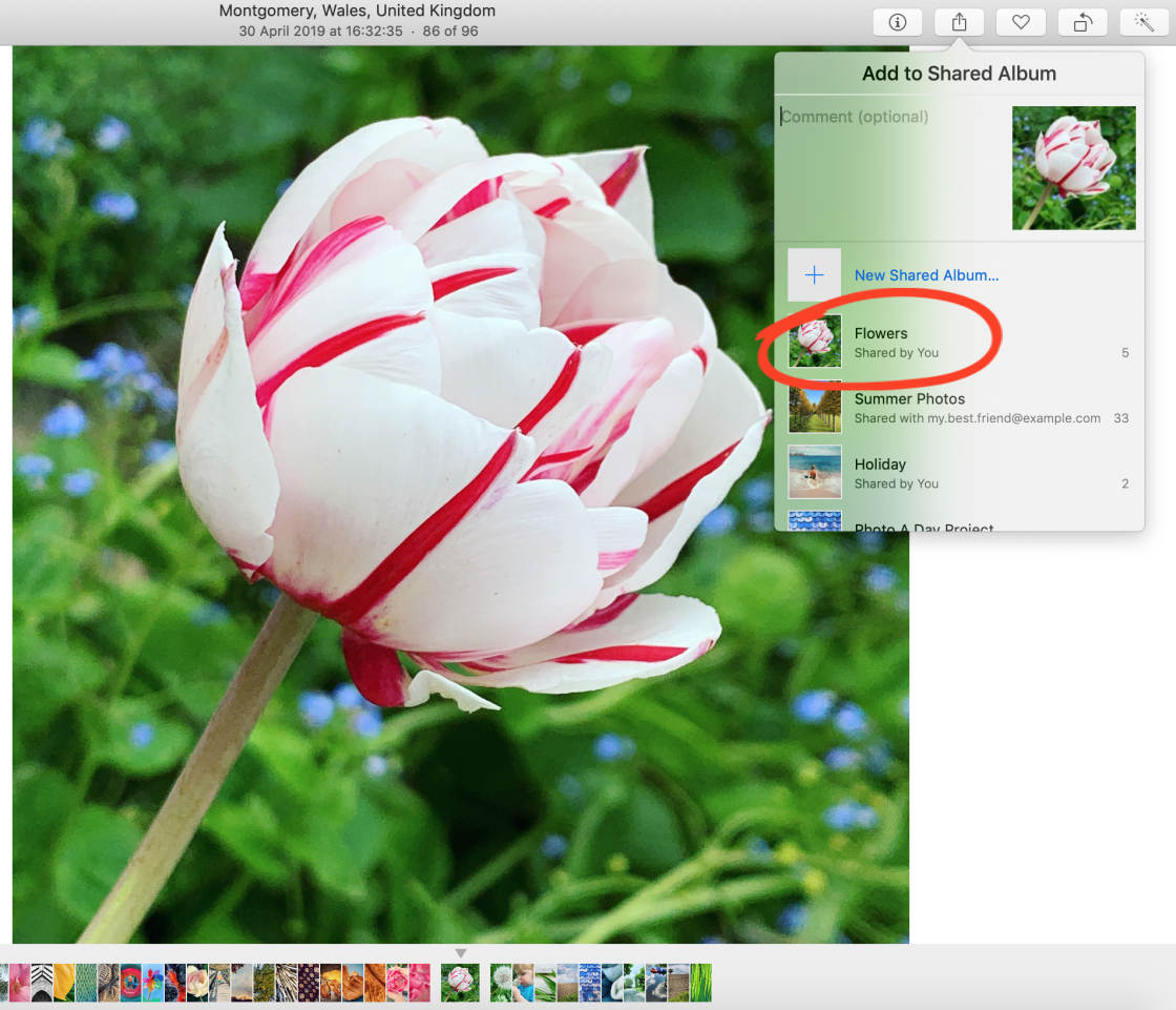 iCloud Photo Sharing no script