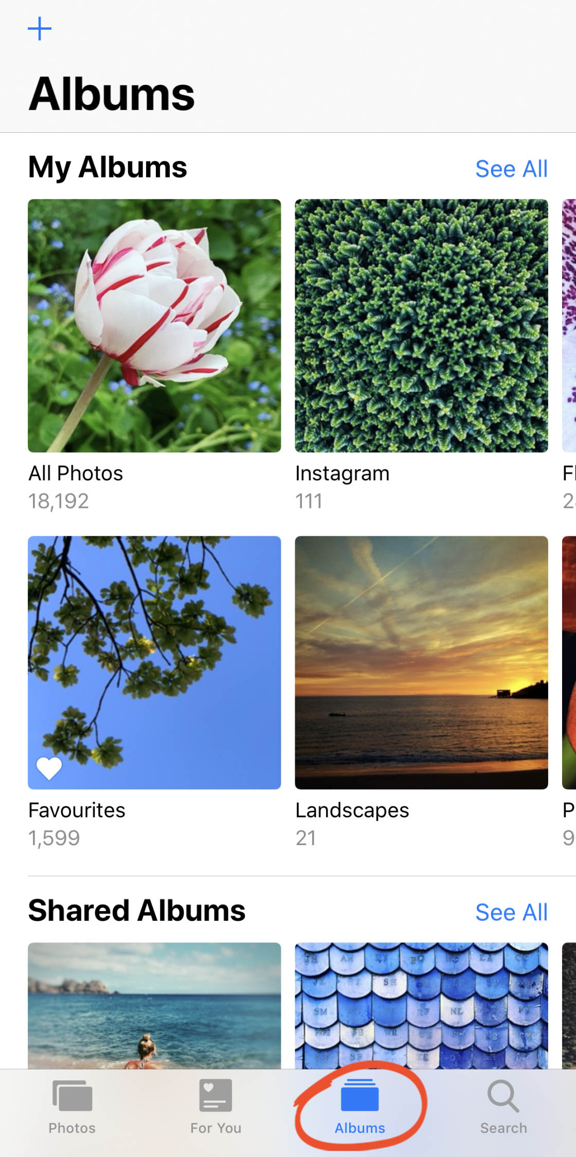 iCloud Photo Sharing no script