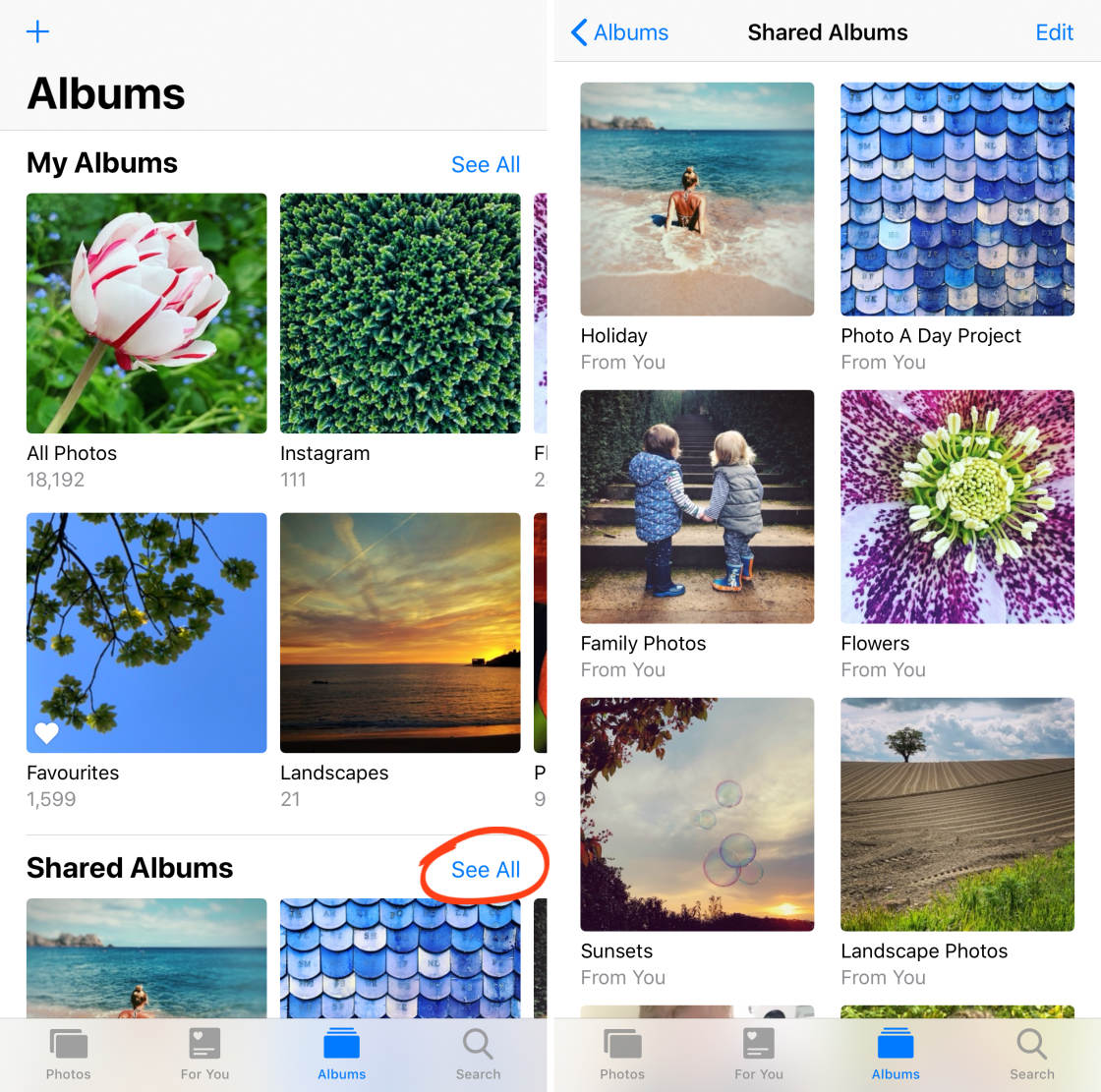 iCloud Photo Sharing no script