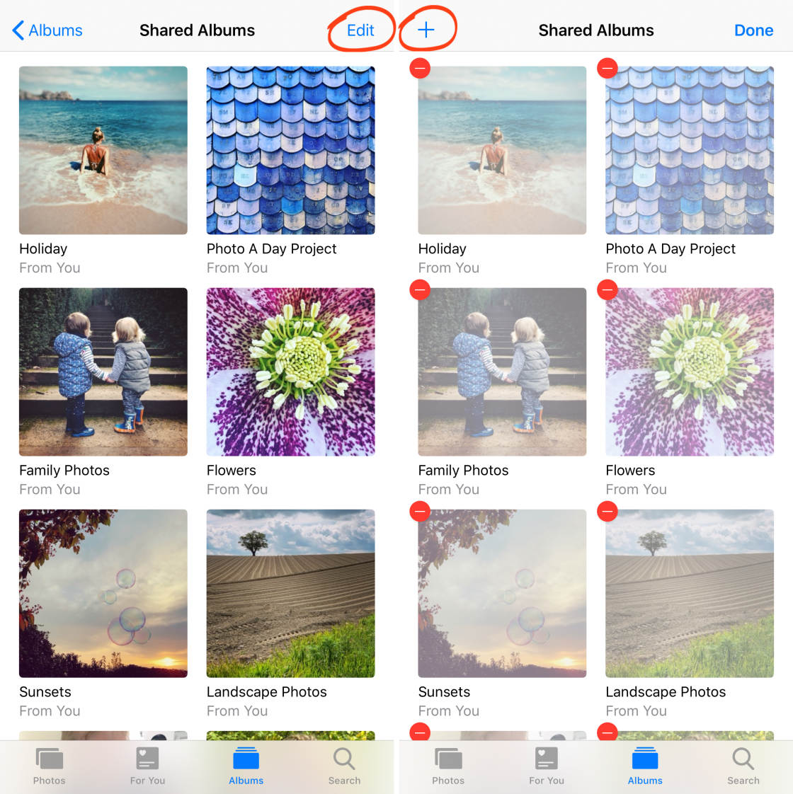 iCloud Photo Sharing no script