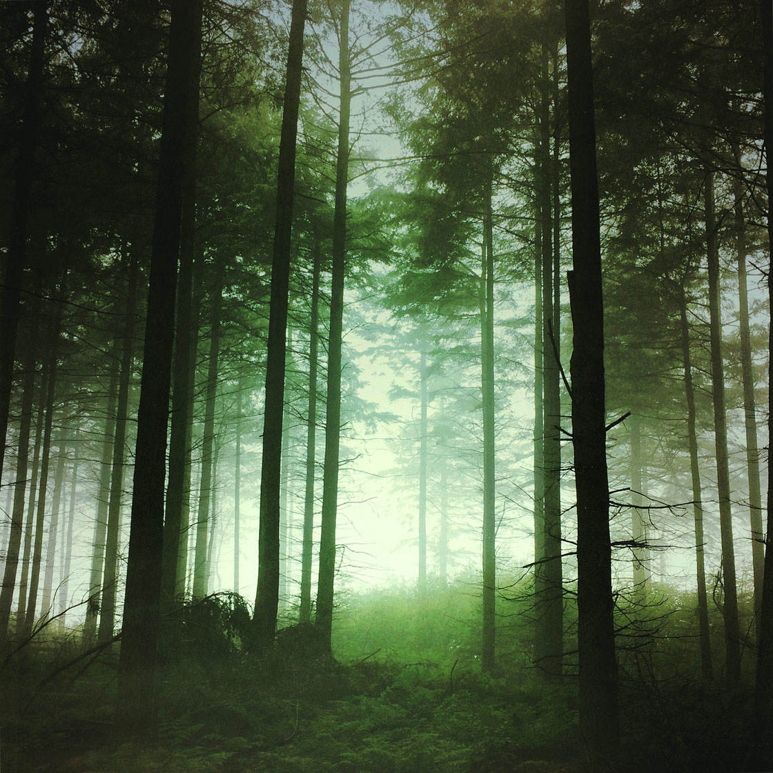 Instagram Tips iPhone Photography 26 no script