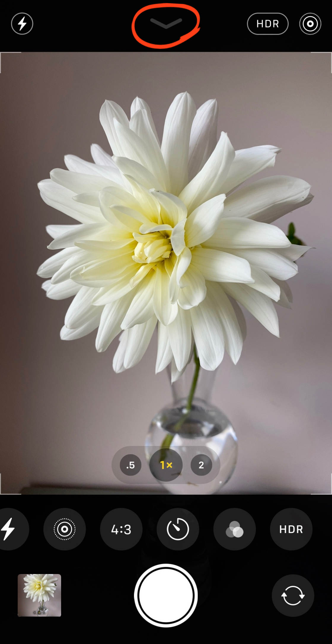 iPhone 11 Camera no script