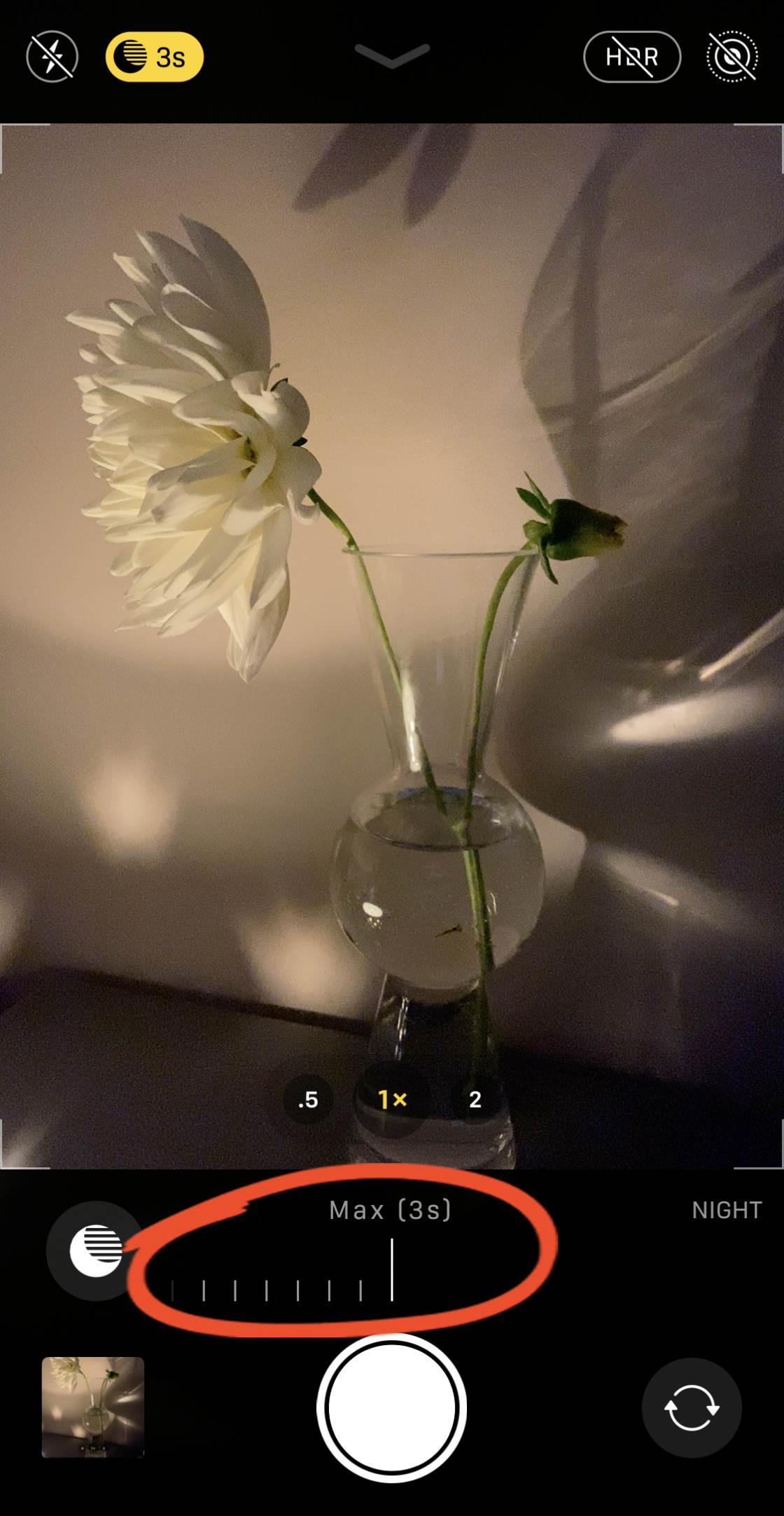iPhone 11 Camera no script