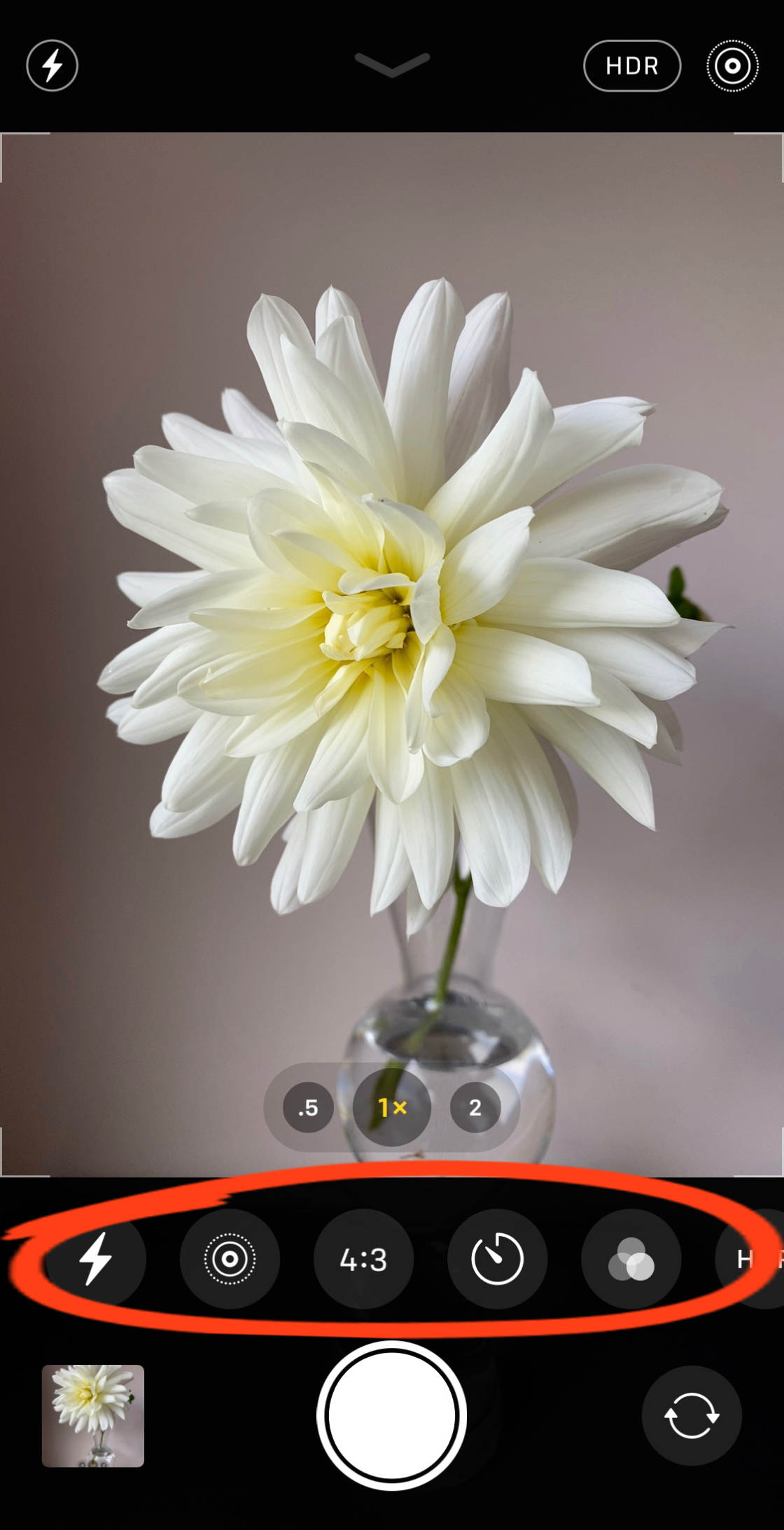 iPhone 11 Camera no script