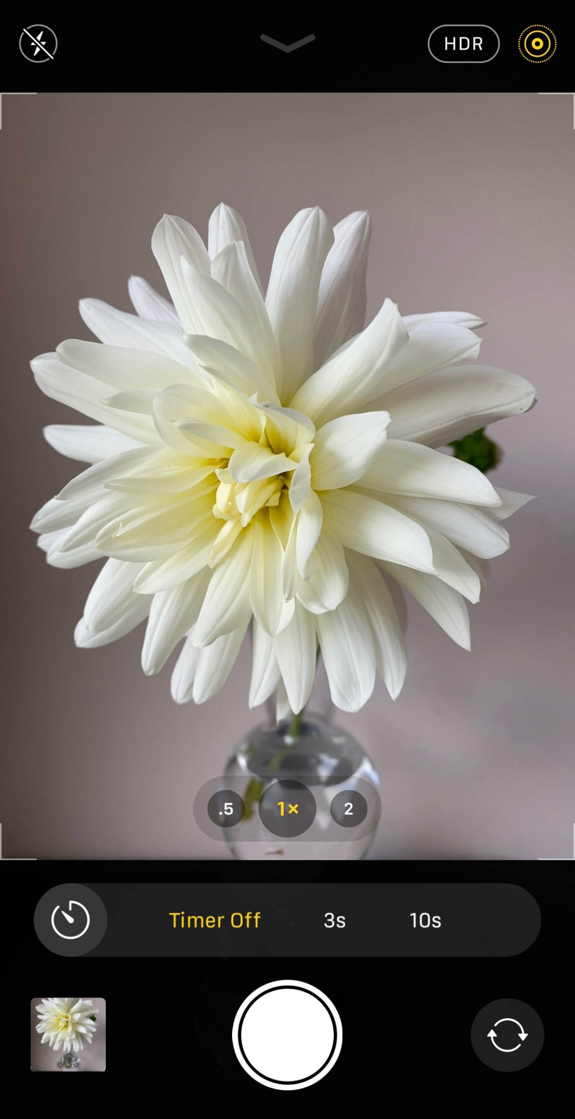 iPhone 11 Camera no script