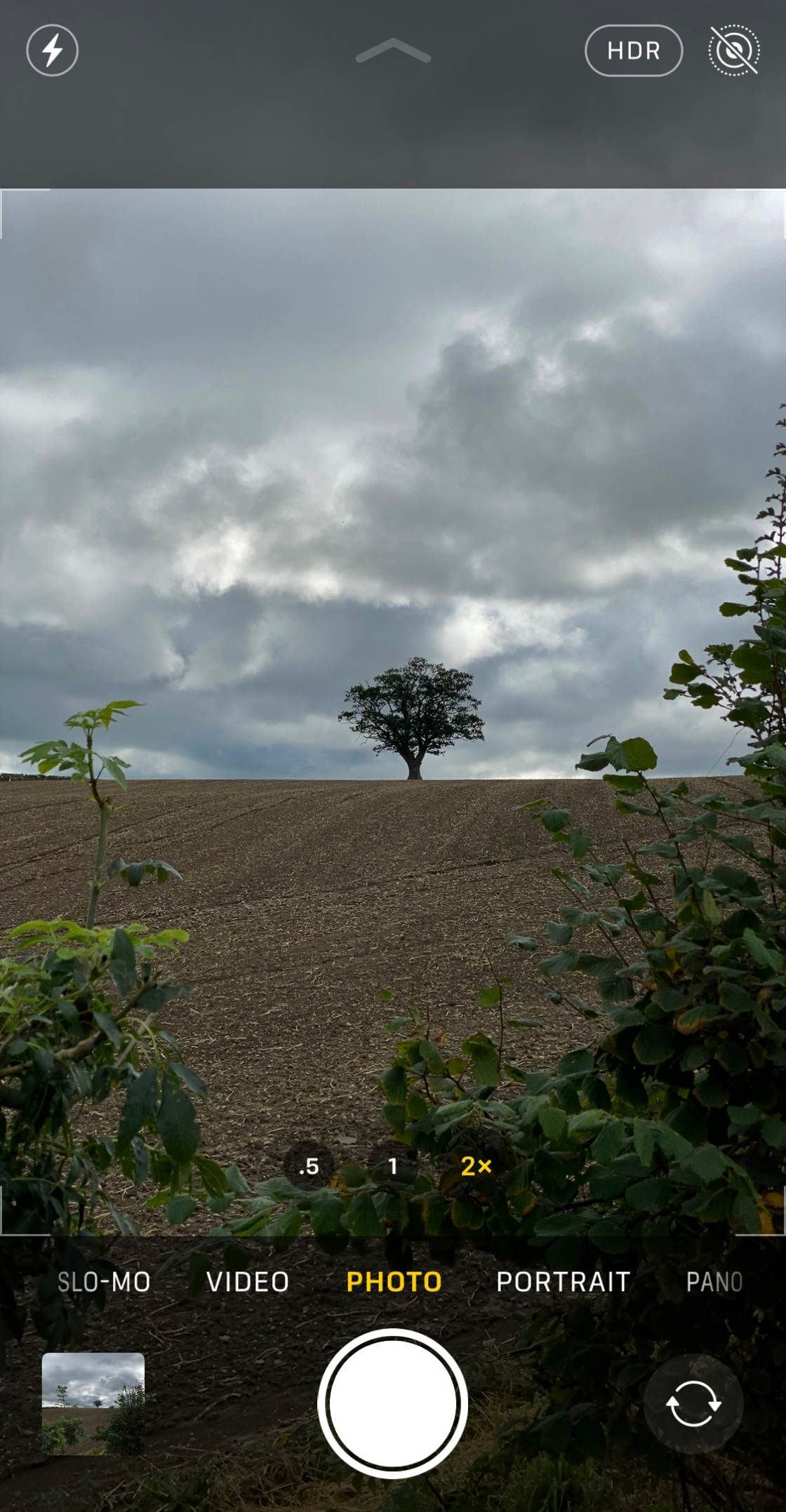 iphone 11 camera no script
