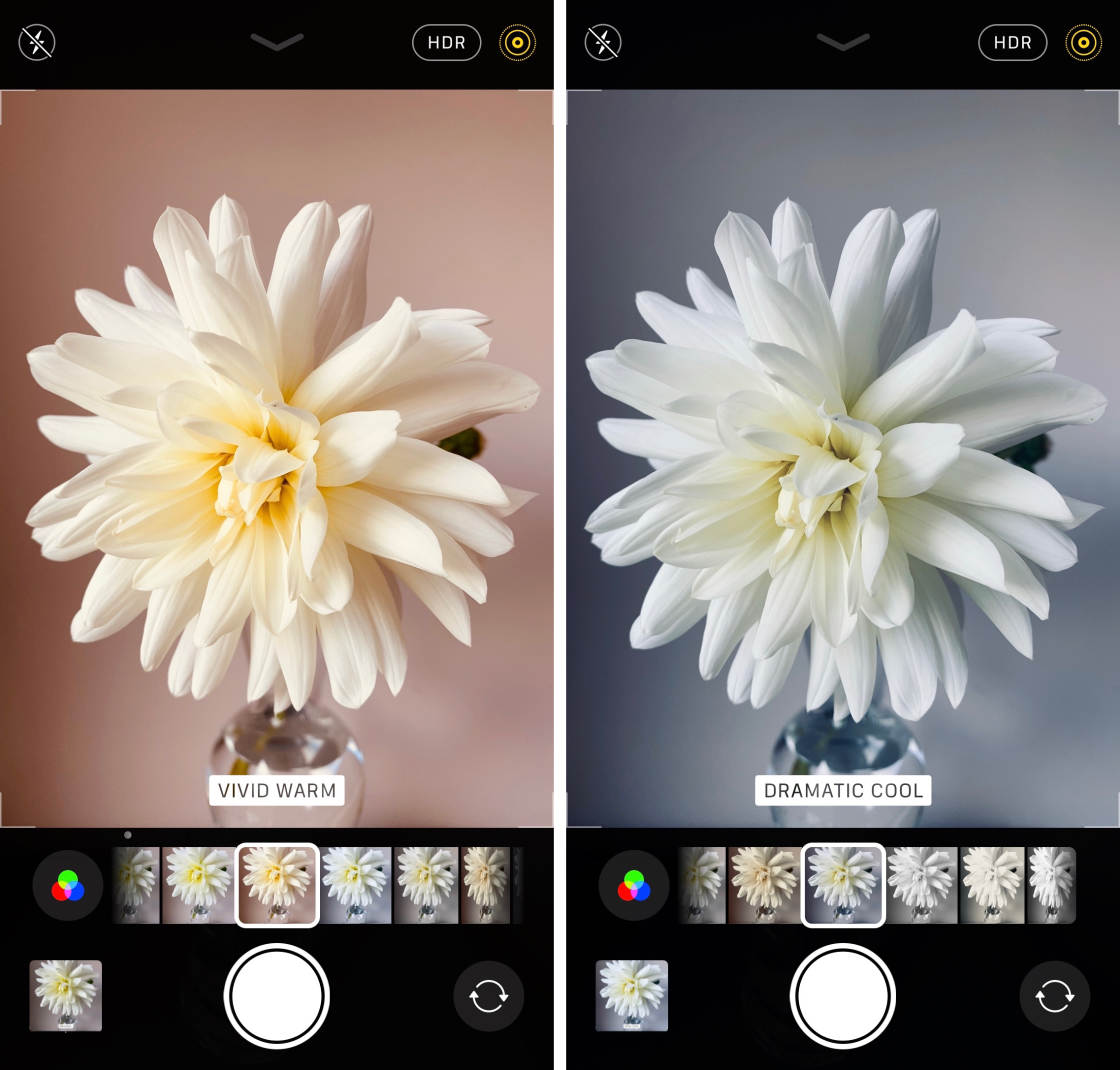 iPhone 11 Camera no script