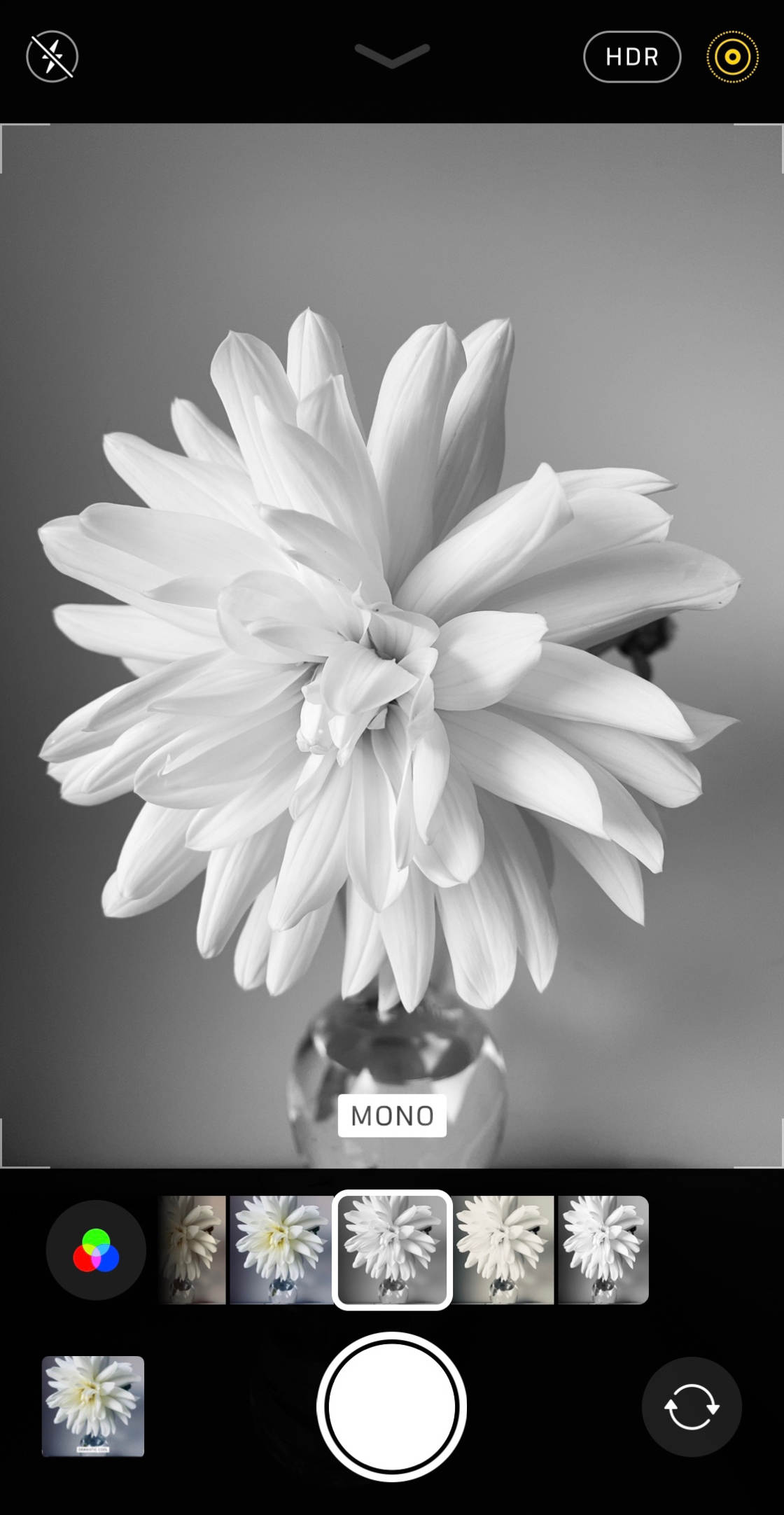 iPhone 11 Camera no script