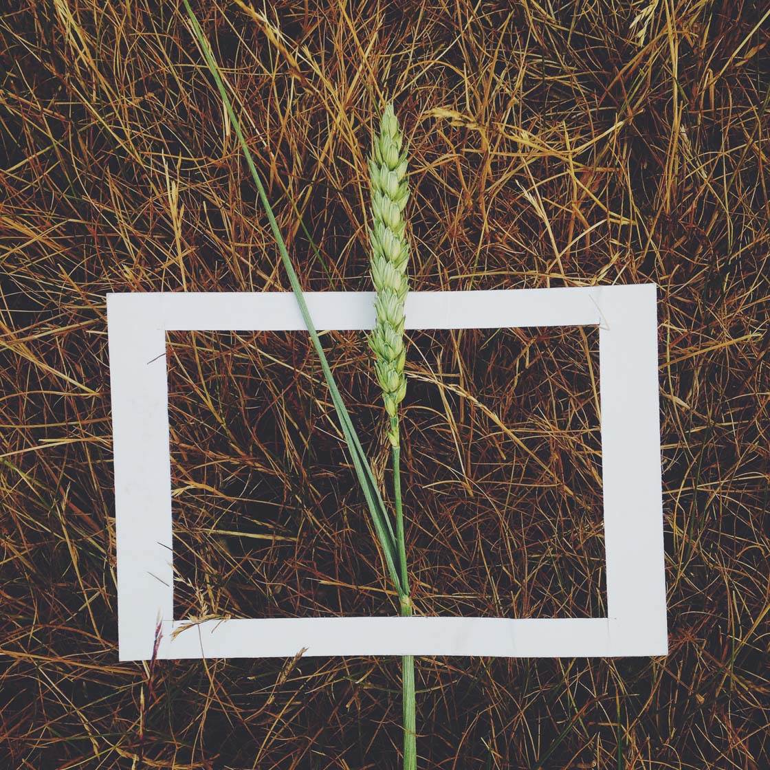 Processed with VSCOcam with f2 preset no script