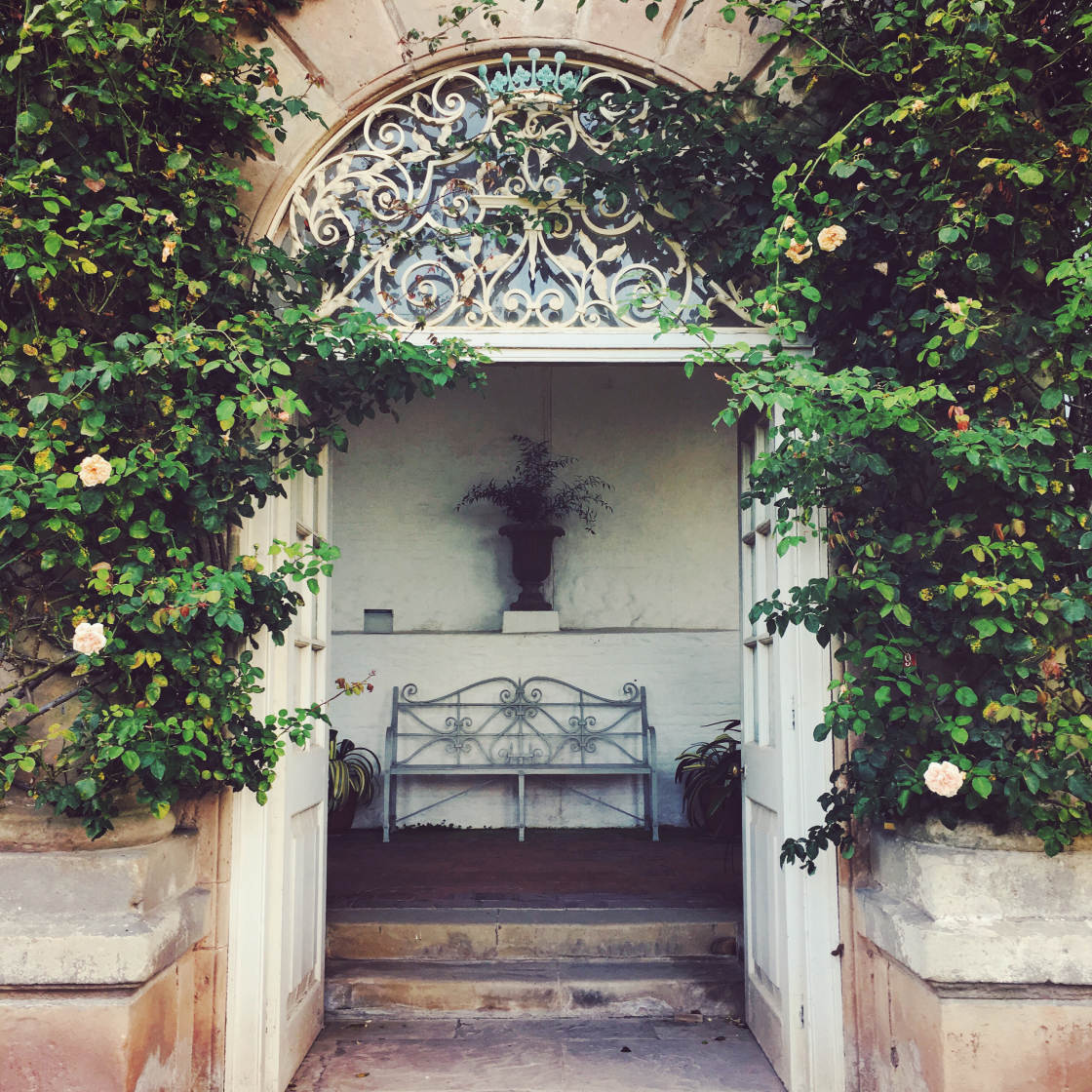 iPhone Photography Tips no script