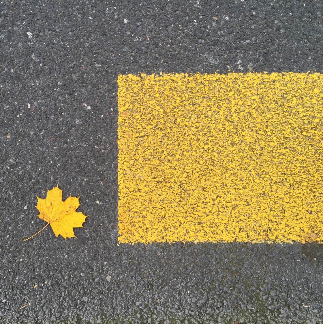 Minimalist iPhone Photography 4 no script