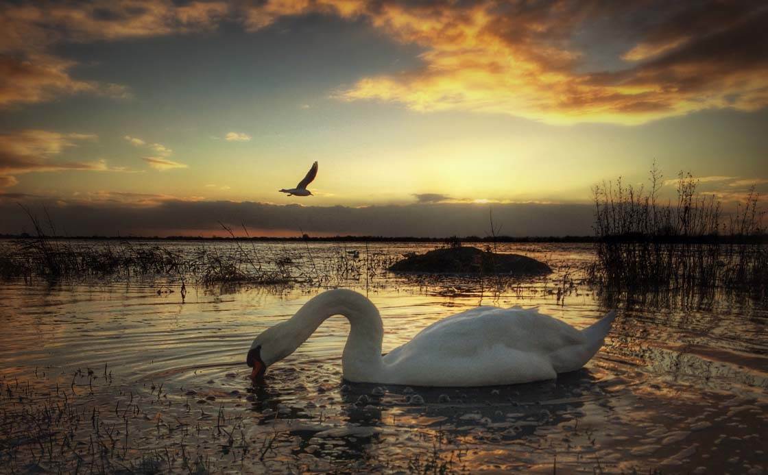 Mobile Photography iPhone Tips 16 no script