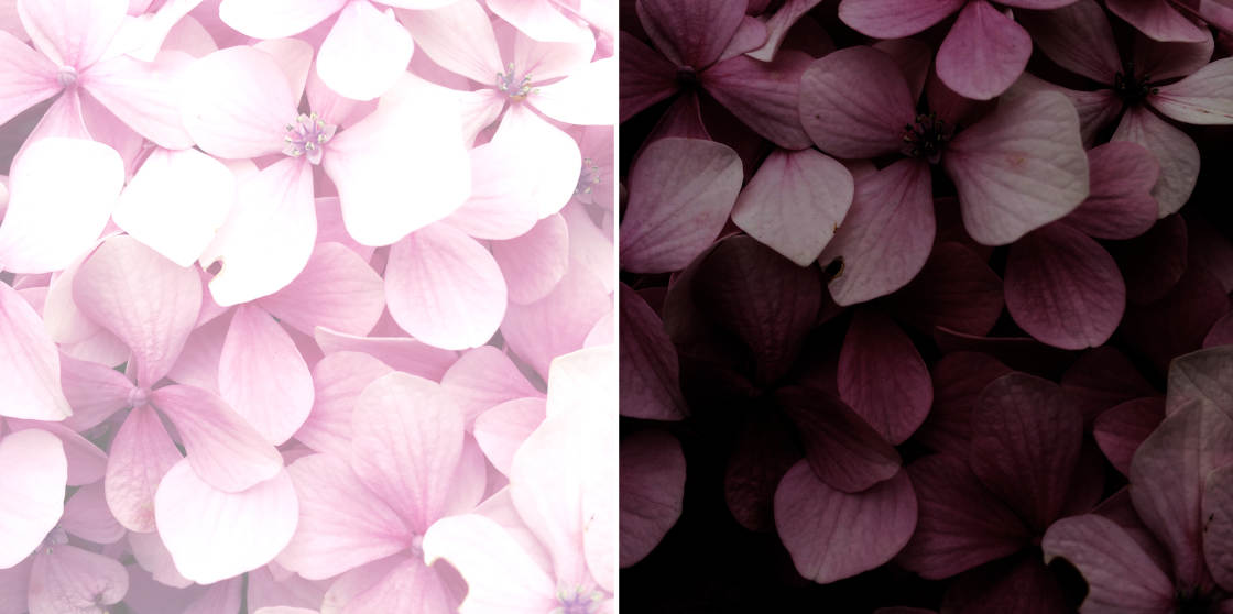 mobile photography tips no script