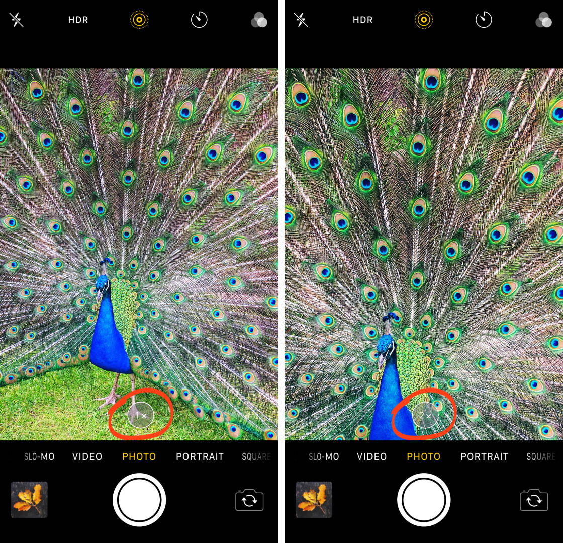 mobile photography tips no script