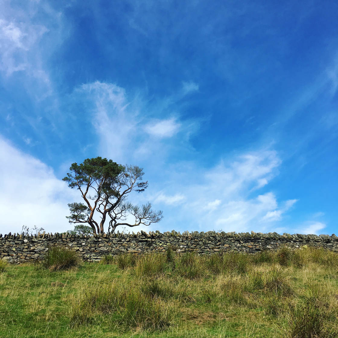 mobile photography tips no script