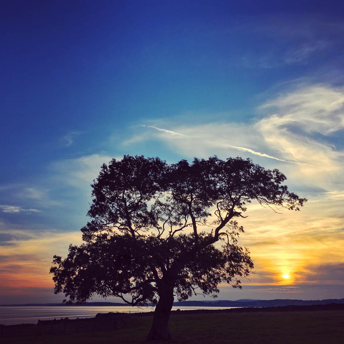 mobile photography tips no script