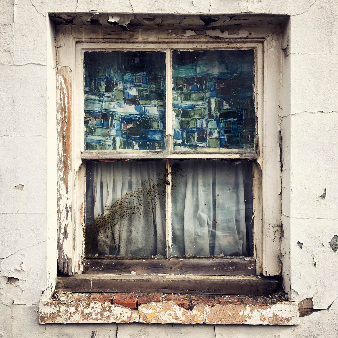 mobile photography tips no script
