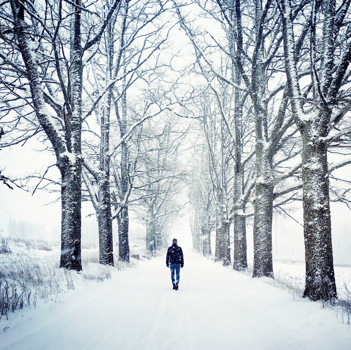 mobile photography tips no script