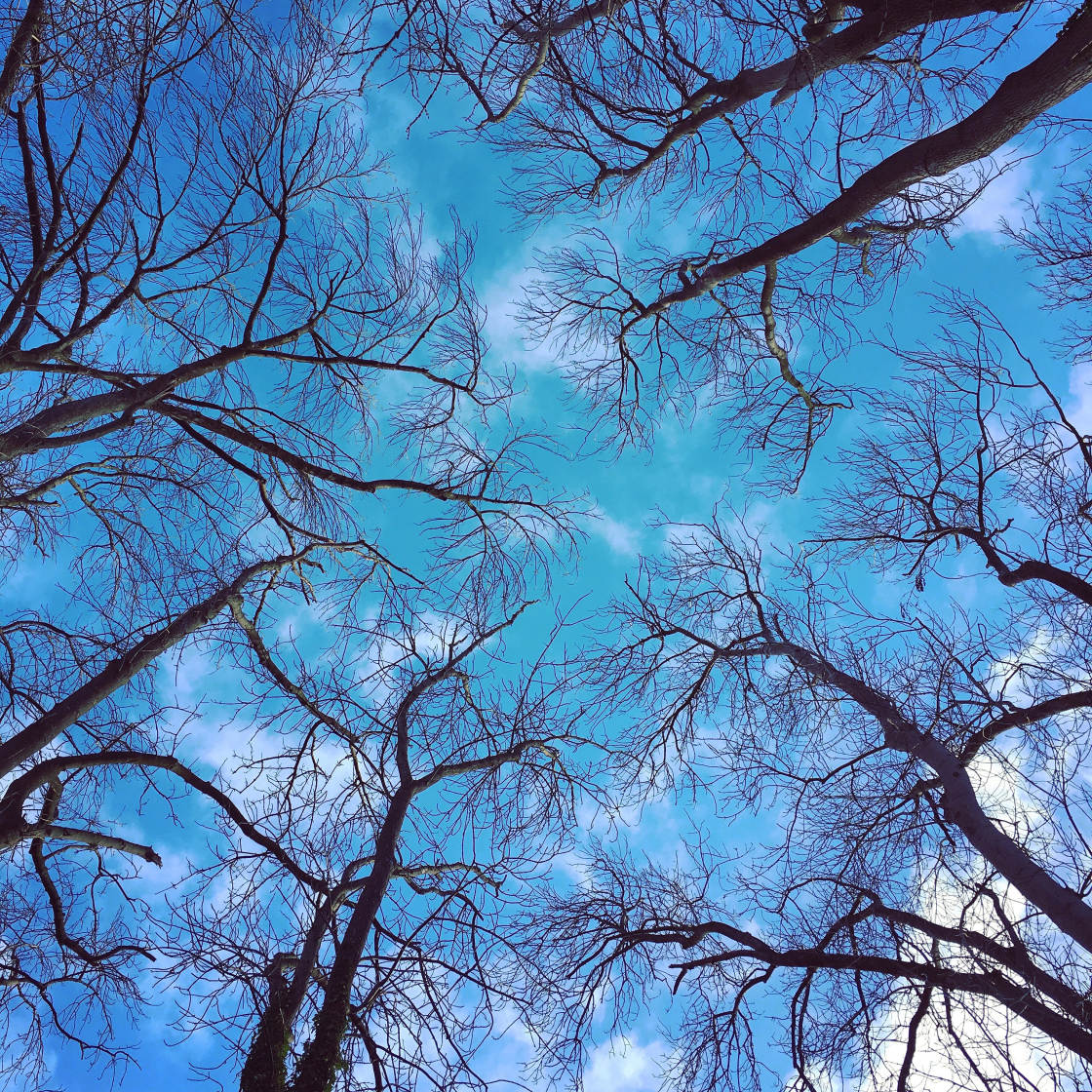 mobile photography tips no script