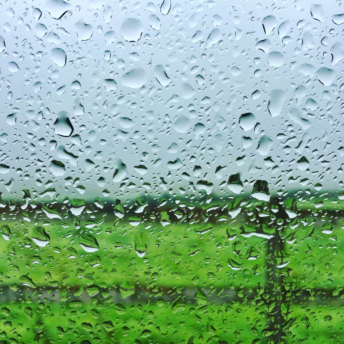 mobile photography tips no script