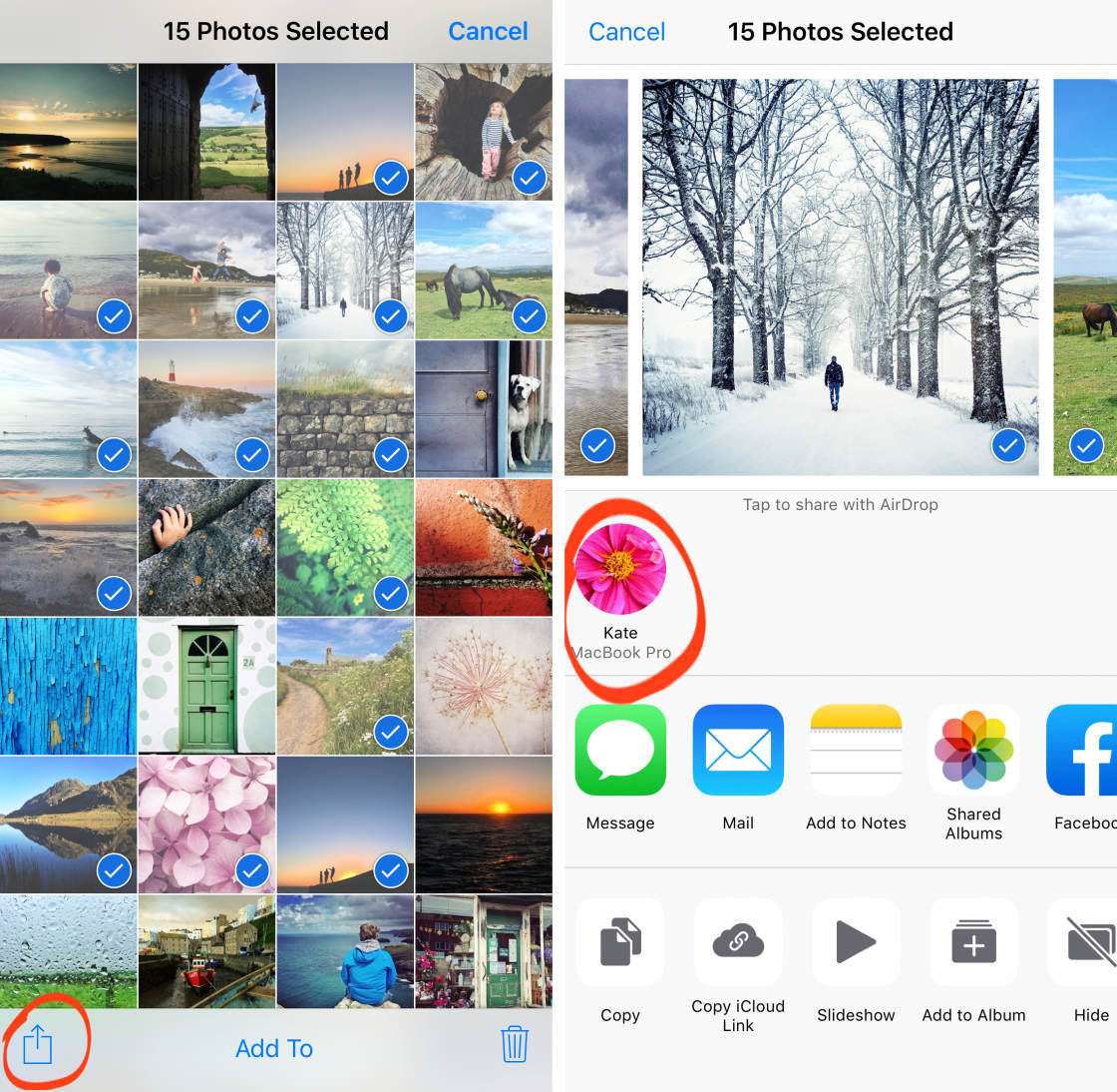photo transfer app no script